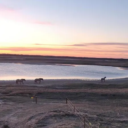 House In Netherlands Near The Coast Prázdninový dům *