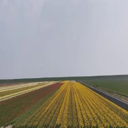 Prázdninový dům House In Netherlands Near The Coast *