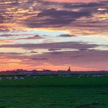 House In Netherlands Near The Coast