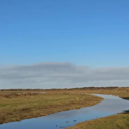 Prázdninový dům House In Netherlands Near The Coast De Cocksdorp (Texel)