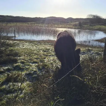 House In Netherlands Near The Coast