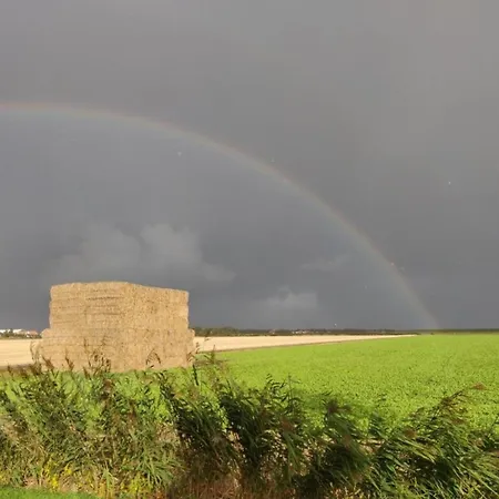 House In Netherlands Near The Coast * De Cocksdorp (Texel)