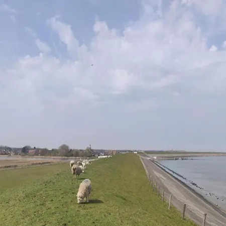 House In Netherlands Near The Coast Prázdninový dům *